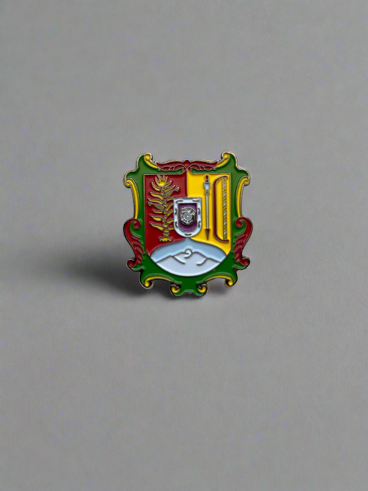 ESCUDO PIN